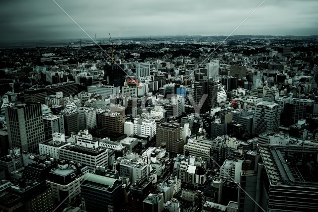 写真のタイトルが入ります