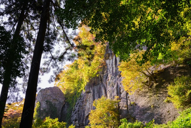 写真のタイトルが入ります