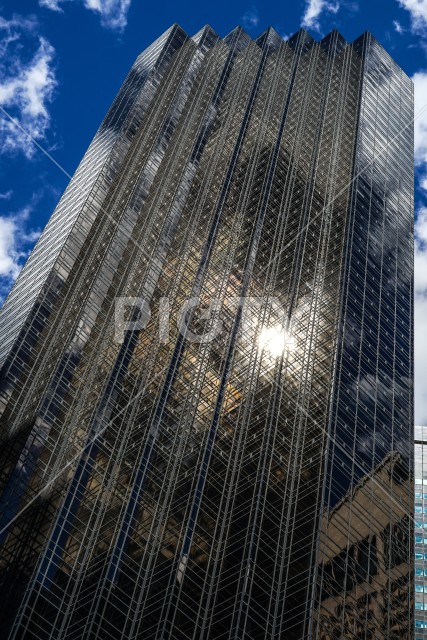 写真のタイトルが入ります