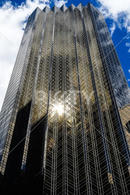 写真のタイトルが入ります
