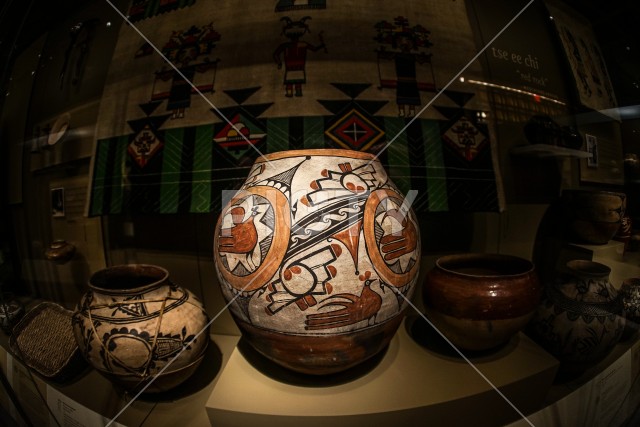 写真のタイトルが入ります
