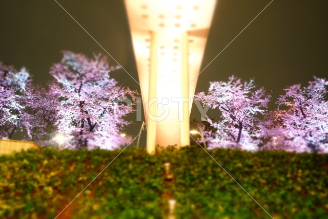 写真のタイトルが入ります