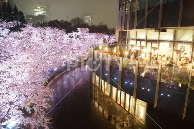 写真のタイトルが入ります