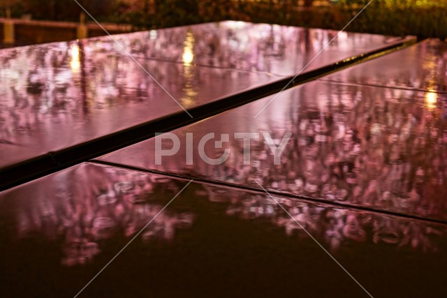 写真のタイトルが入ります