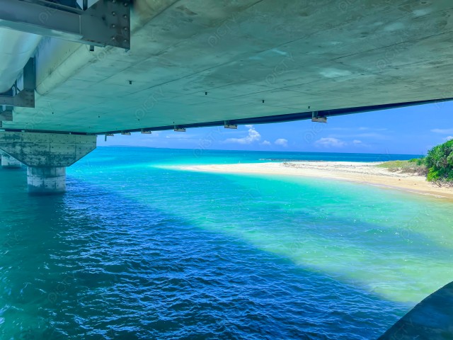 写真のタイトルが入ります