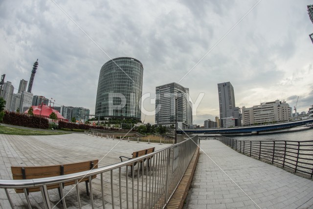 写真のタイトルが入ります