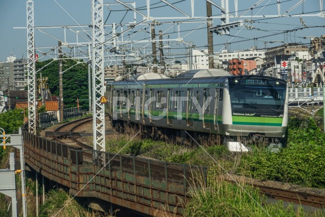 写真のタイトルが入ります
