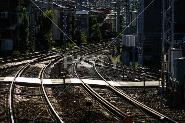 写真のタイトルが入ります