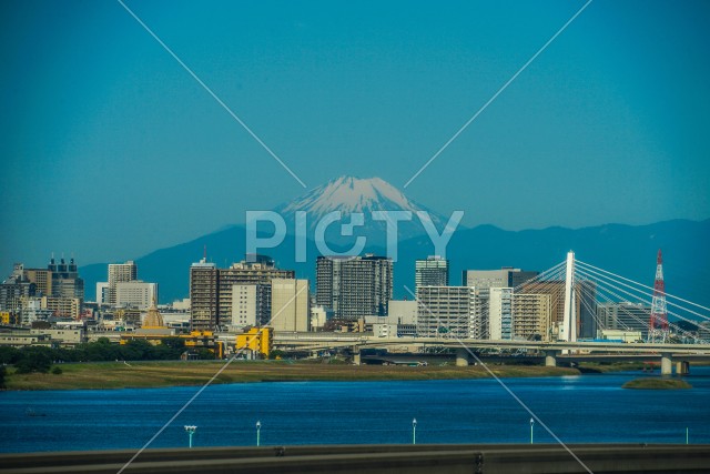 写真のタイトルが入ります