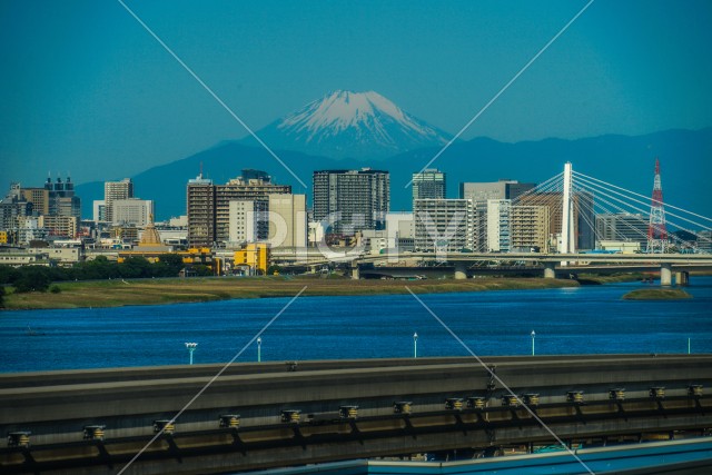 写真のタイトルが入ります
