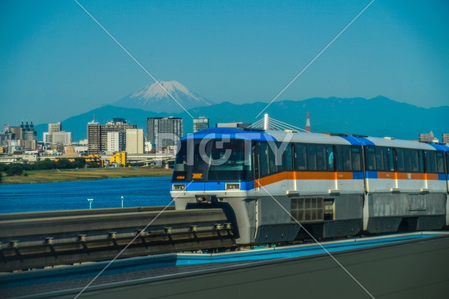 写真のタイトルが入ります