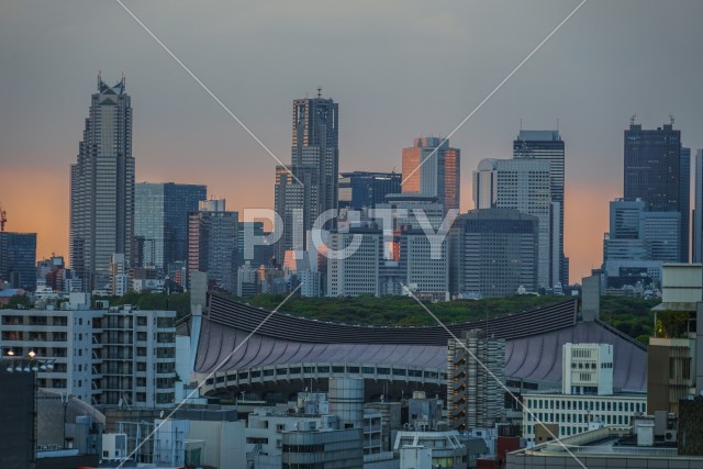 写真のタイトルが入ります