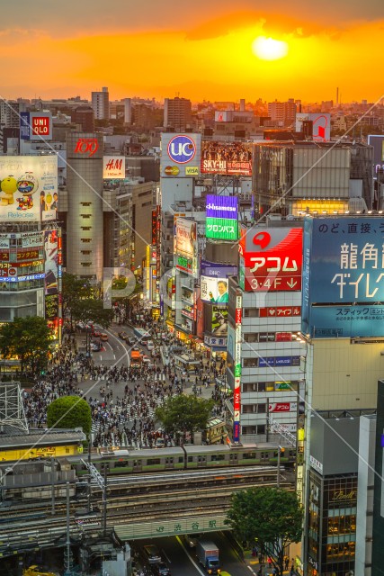 写真のタイトルが入ります