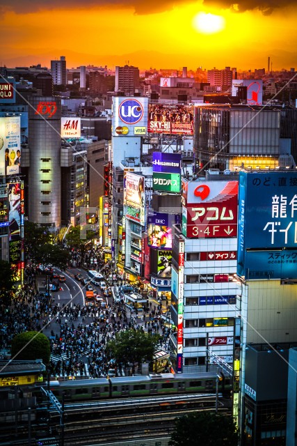 写真のタイトルが入ります