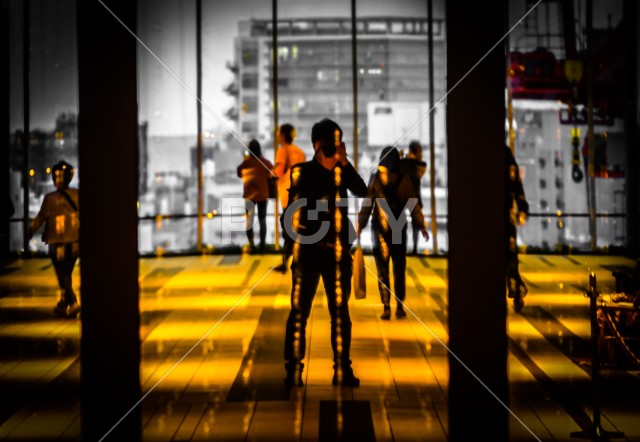 写真のタイトルが入ります