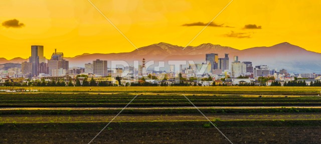 写真のタイトルが入ります