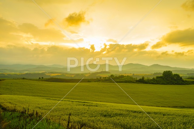 北海道の草原と夕景
