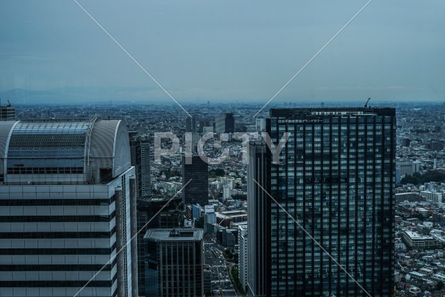 写真のタイトルが入ります