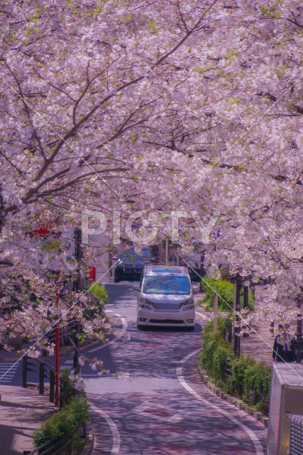 写真のタイトルが入ります