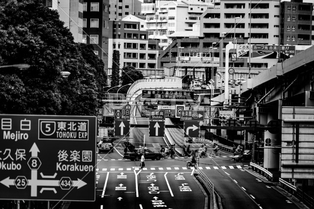 写真のタイトルが入ります