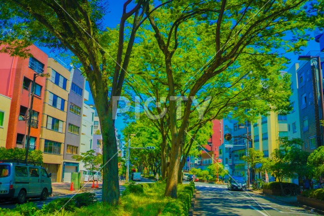 写真のタイトルが入ります