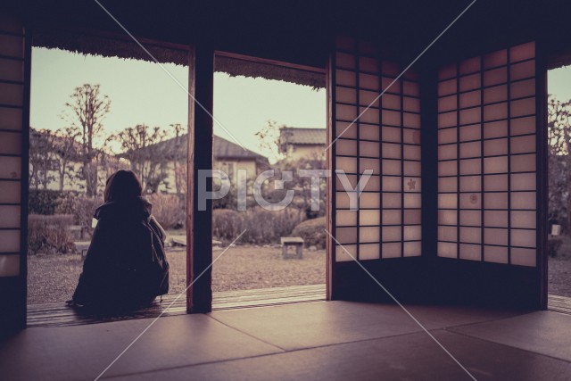 写真のタイトルが入ります