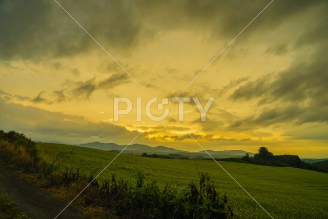 北海道の草原と夕景
