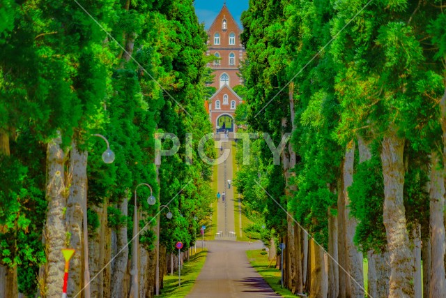 写真のタイトルが入ります