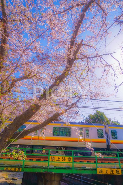 写真のタイトルが入ります