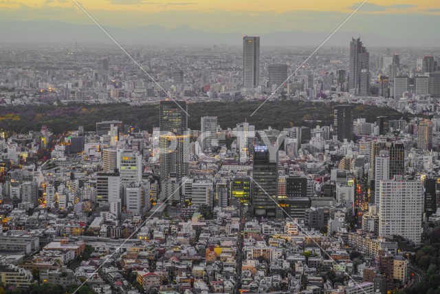 東京都心のビル群と夕景