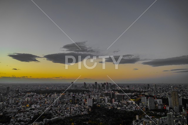 写真のタイトルが入ります
