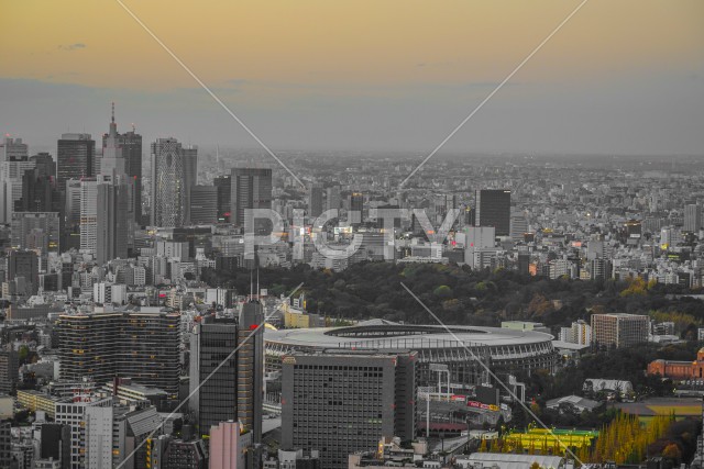 写真のタイトルが入ります