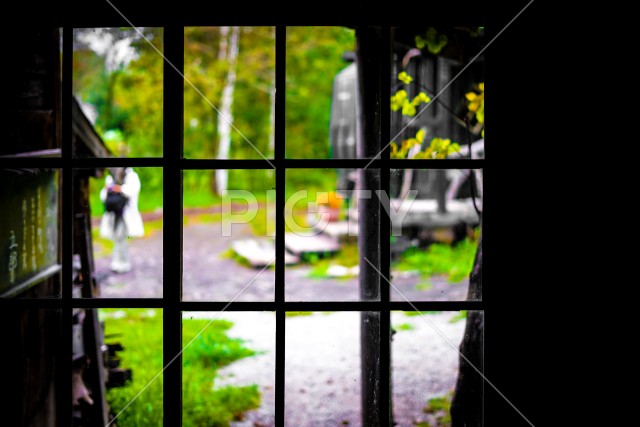 写真のタイトルが入ります