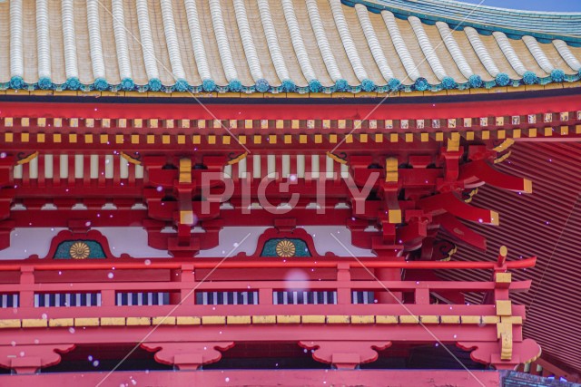写真のタイトルが入ります