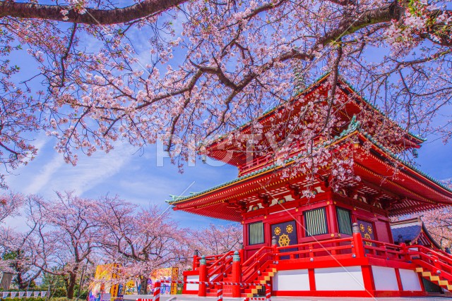 写真のタイトルが入ります