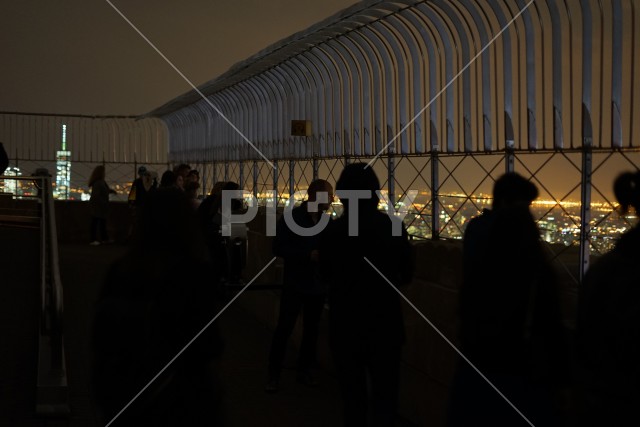 写真のタイトルが入ります