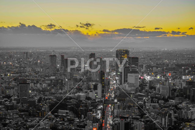 写真のタイトルが入ります