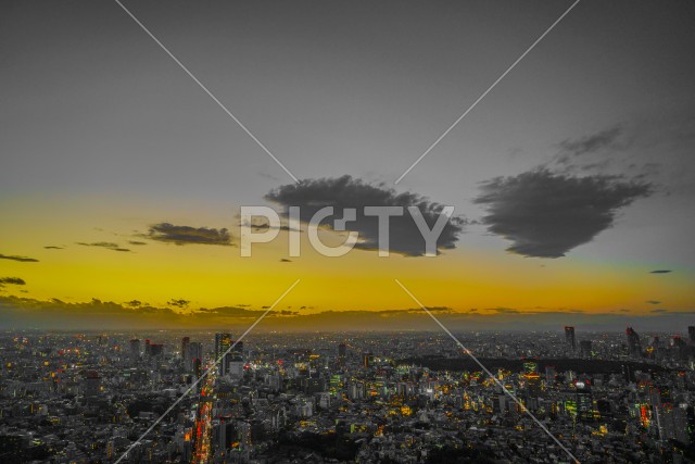 写真のタイトルが入ります