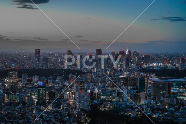 写真のタイトルが入ります