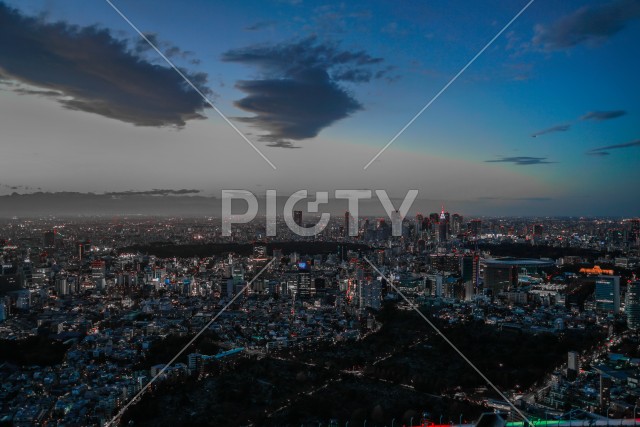 東京都心の夜景