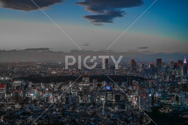 東京都心の夜景