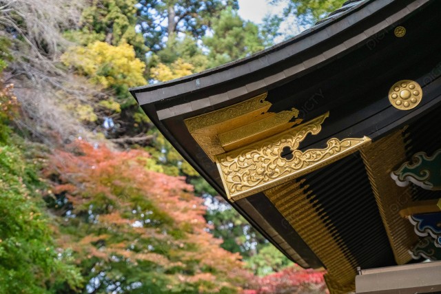 写真のタイトルが入ります