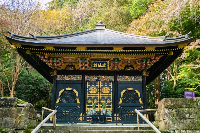 写真のタイトルが入ります