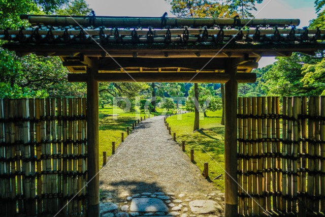 六義園の新緑