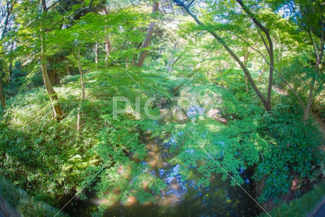 写真のタイトルが入ります