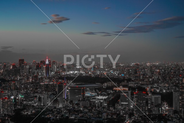 東京都心の夜景