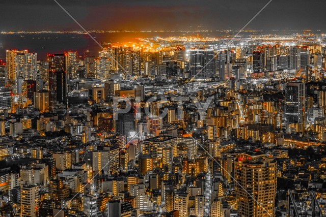 東京都心の夜景