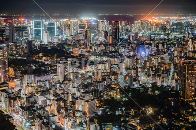 東京都心の夜景