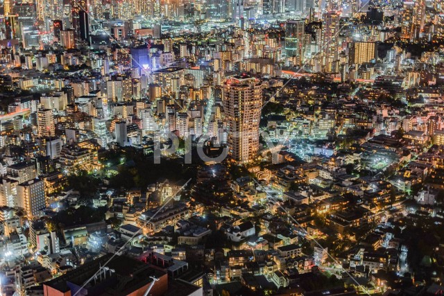 東京都心の夜景