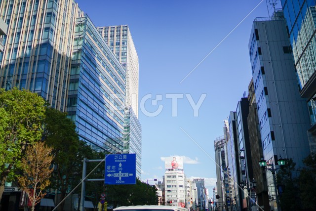 写真のタイトルが入ります